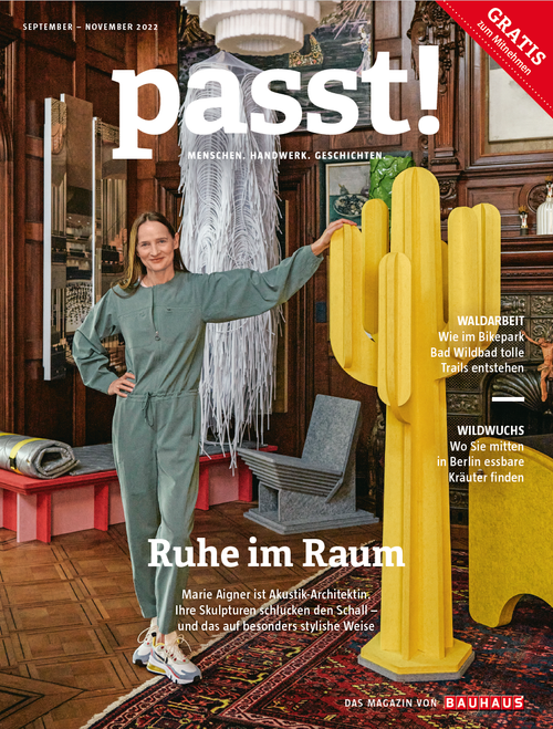 2209passt