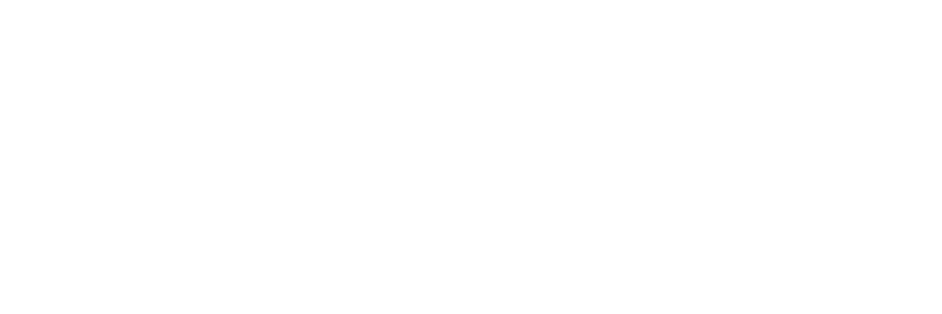 knockoutlogowhite